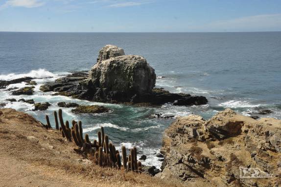 Trecho escarpado da costa em Pichilemu, no litoral central do Chile